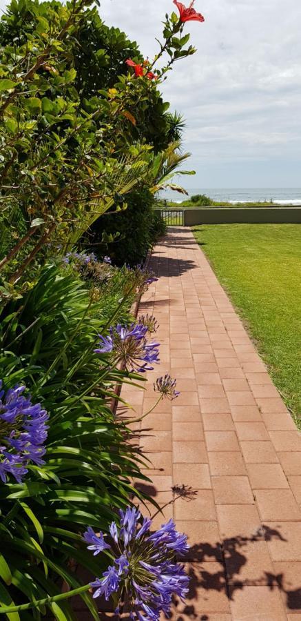 Ohope Beachfront Bliss מראה חיצוני תמונה